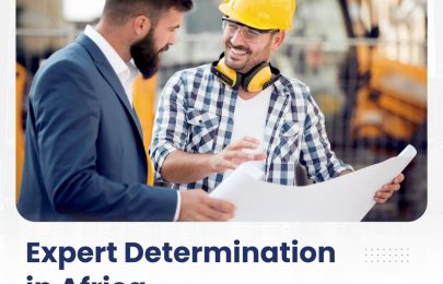 Expert Determination in Africa – Sean Hugo